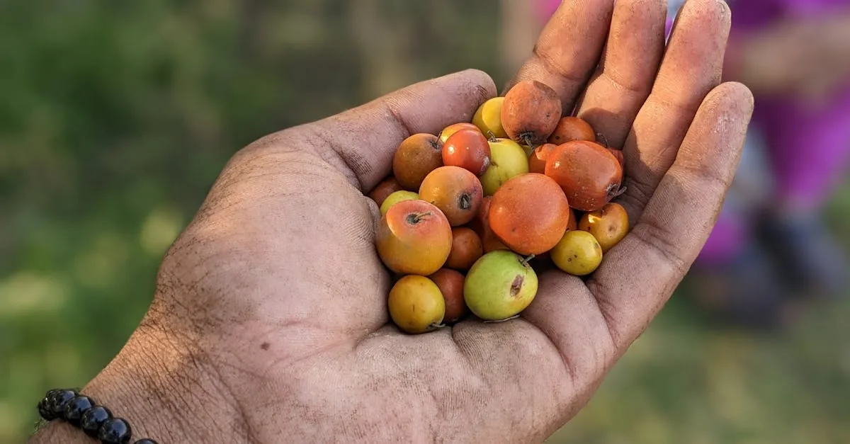 découvrez une liste complète de fruits commençant par la lettre a, leurs bienfaits et utilisations culinaires.