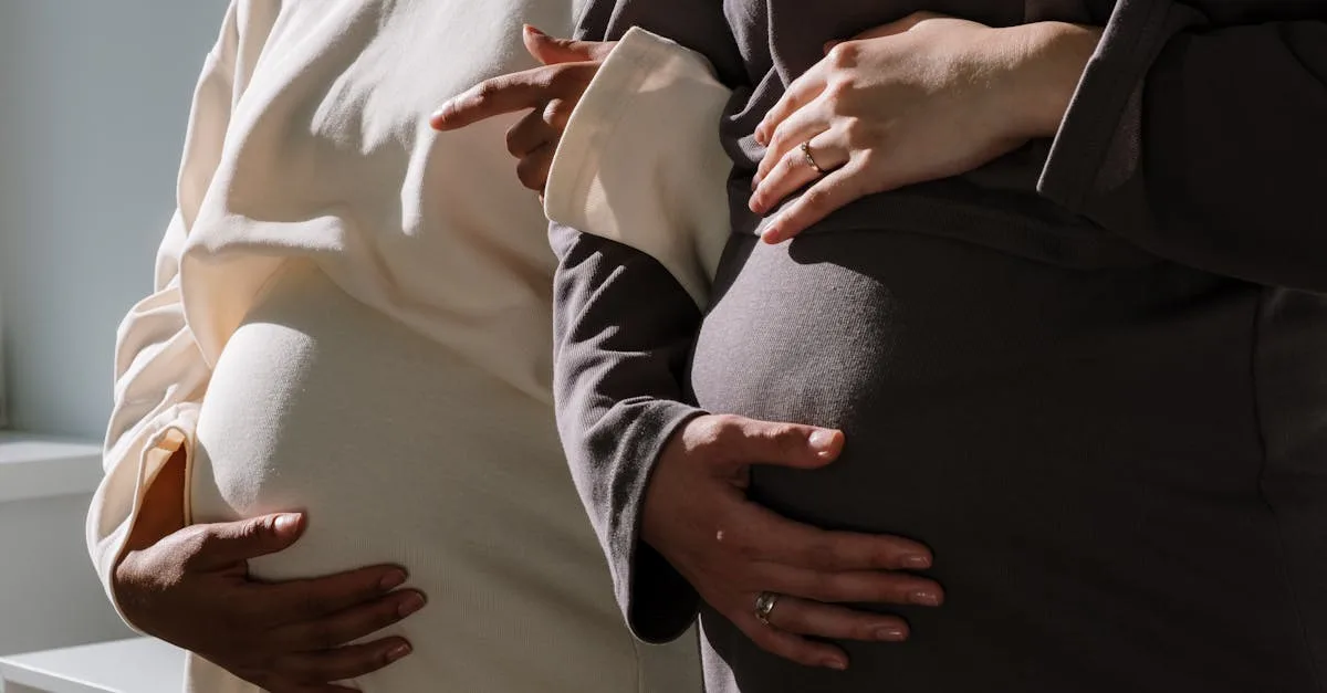 tout savoir sur la grossesse : conseils, étapes clés, suivi médical et bien-être pour une maternité épanouie.