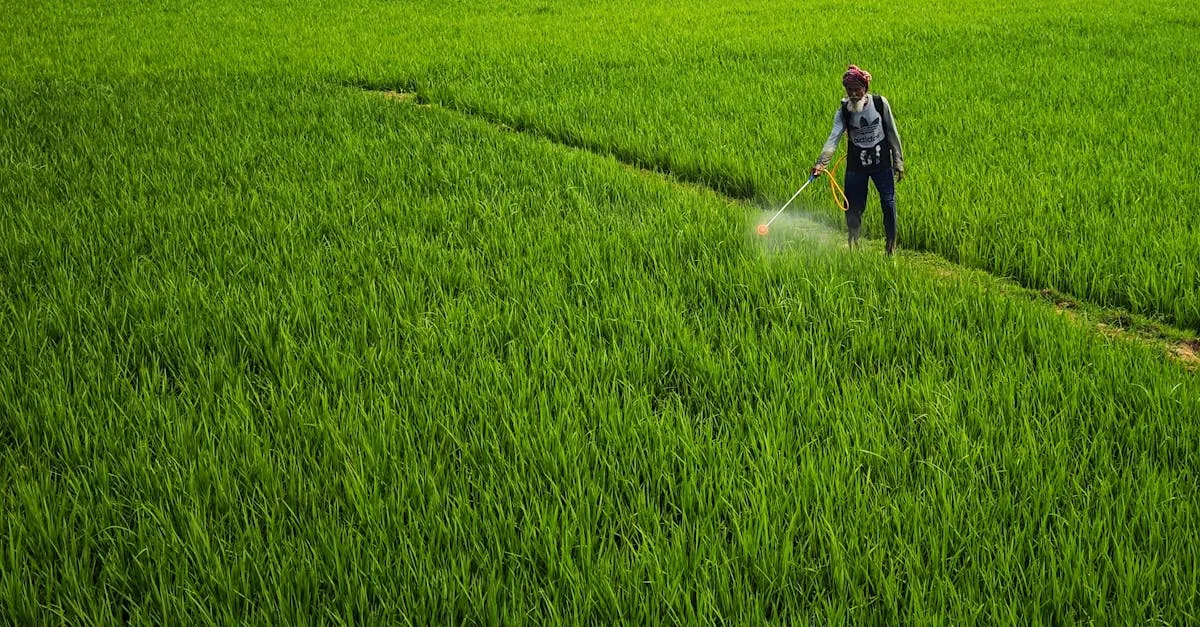 découvrez tout ce qu'il faut savoir sur le glyphosate : usages, impacts environnementaux, débats sanitaires et réglementations en vigueur.