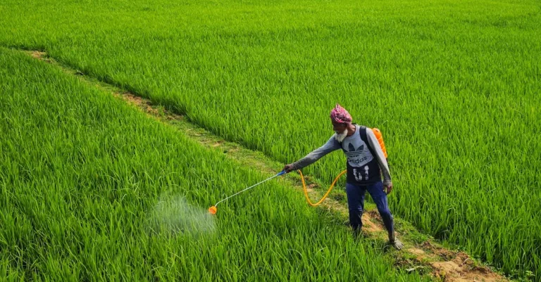 découvrez tout ce qu'il faut savoir sur le glyphosate : usage, risques, réglementation et alternatives dans l'agriculture.