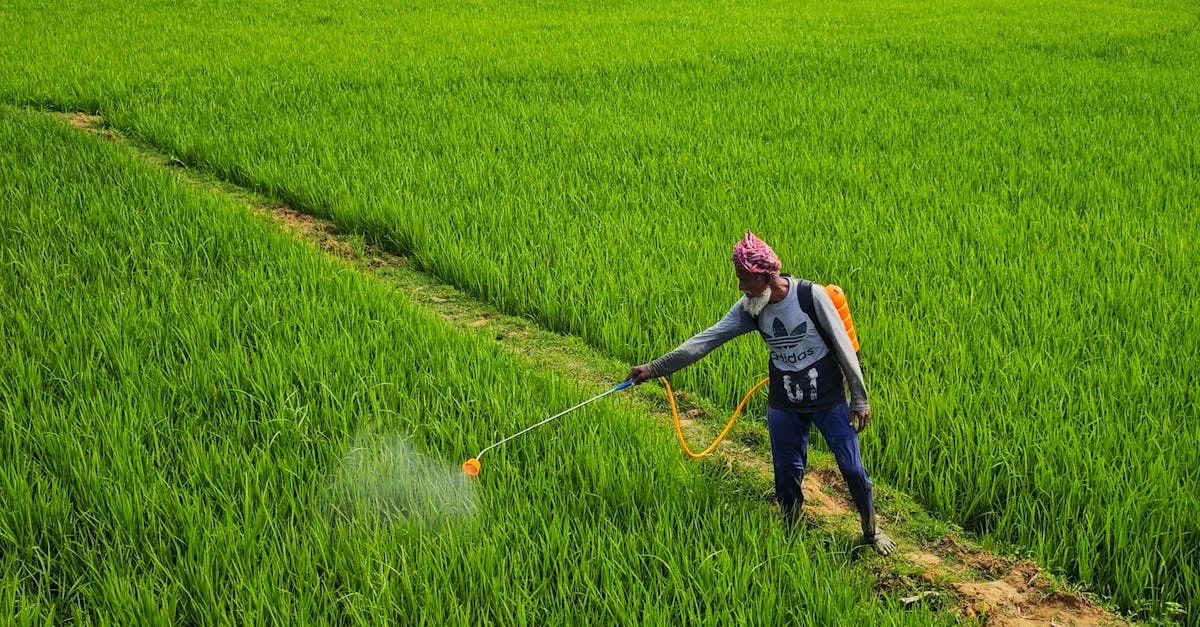 découvrez tout ce qu'il faut savoir sur le glyphosate : usage, risques, réglementation et alternatives dans l'agriculture.