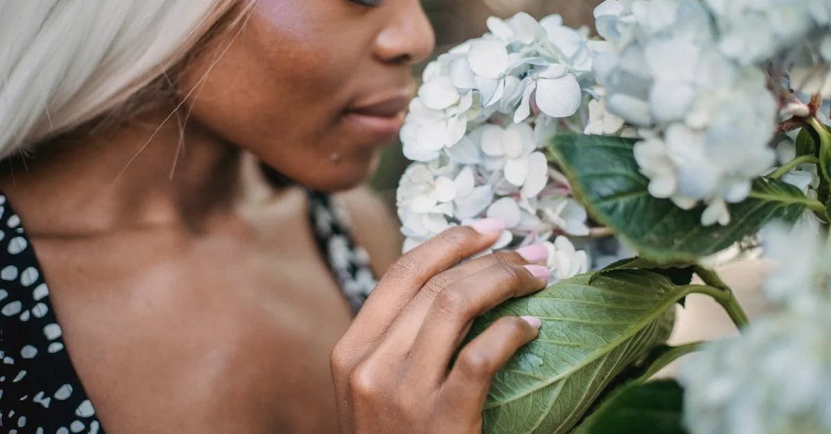 découvrez nos conseils pratiques pour prendre soin de vos hortensias, assurer leur croissance et embellir votre jardin toute l'année.