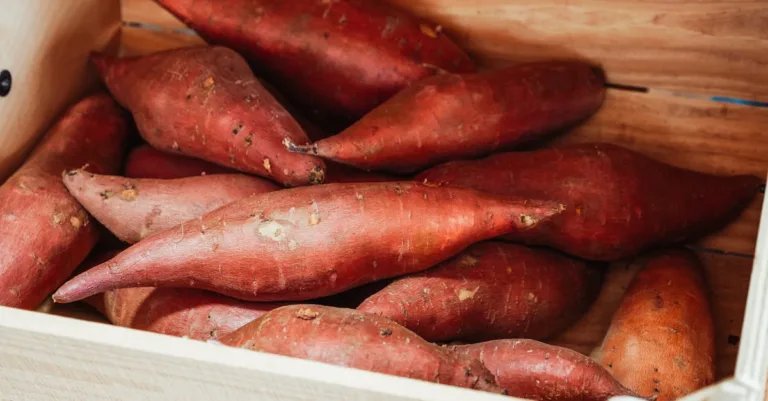 découvrez les meilleures associations pour la patate douce afin de sublimer vos plats avec des saveurs complémentaires et originales.
