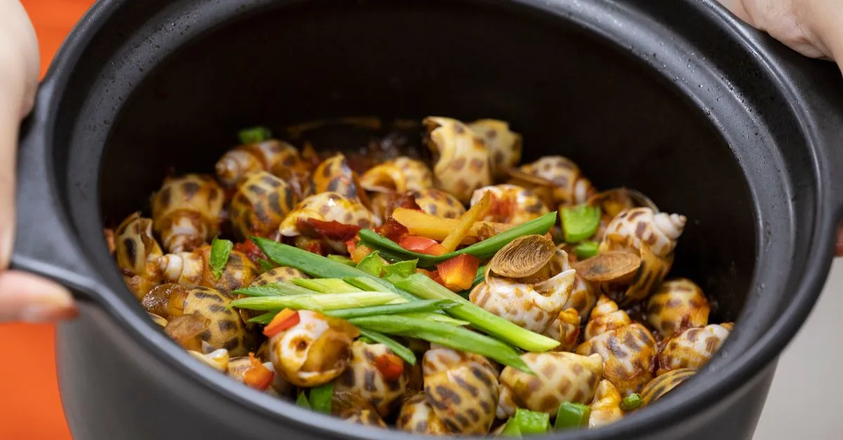 découvrez le temps de cuisson idéal des bulots frais et nos conseils pour les préparer tendres et savoureux.
