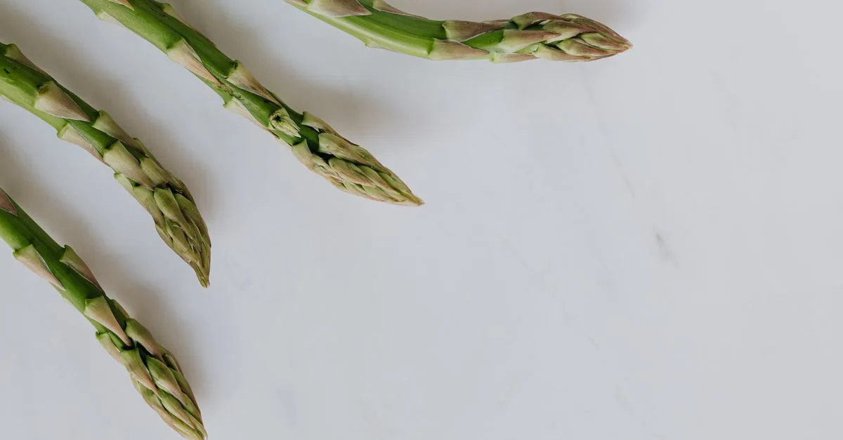 découvrez le temps de cuisson idéal des asperges vertes à la vapeur et nos conseils pour préserver leur couleur, leur croquant et leur saveur.